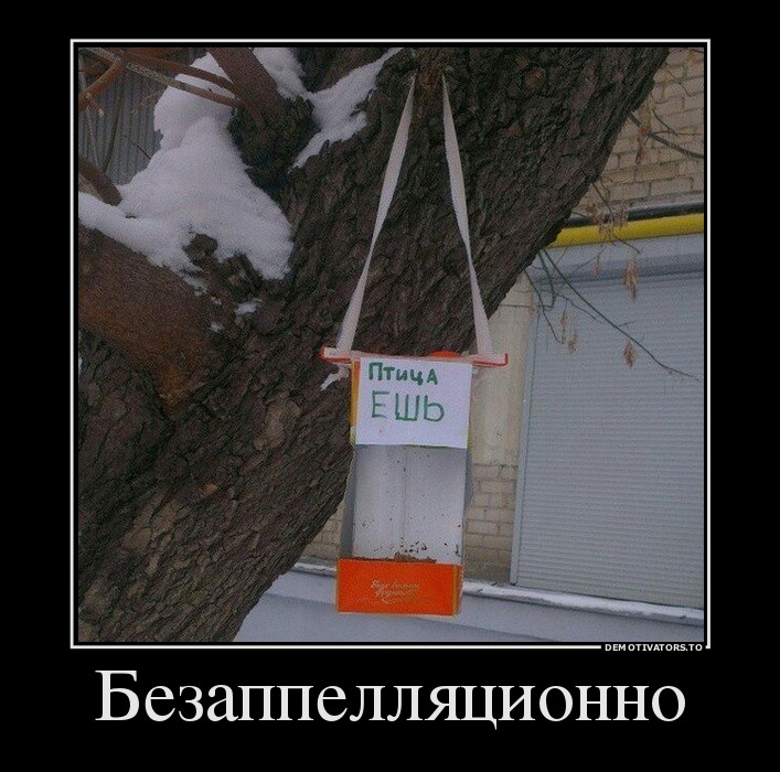 Безаппелляционно