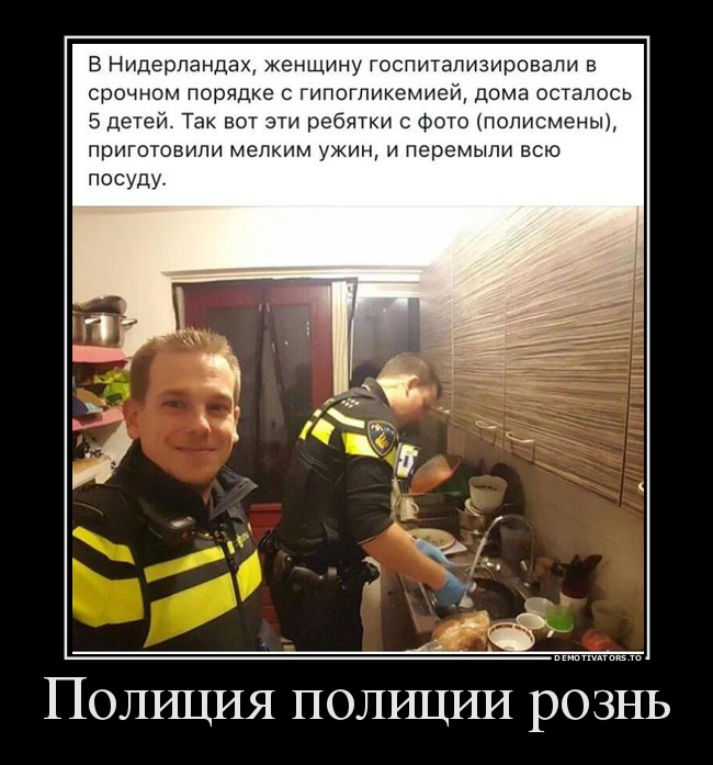 Полиция полиции рознь