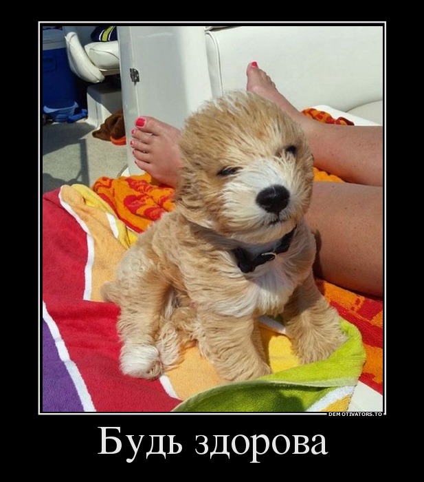 Будь здорова