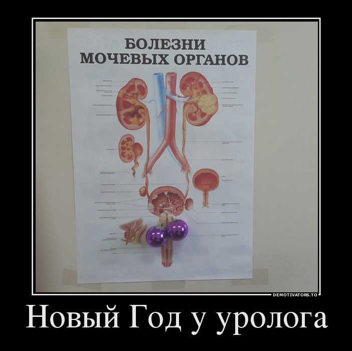 Новый Год у уролога