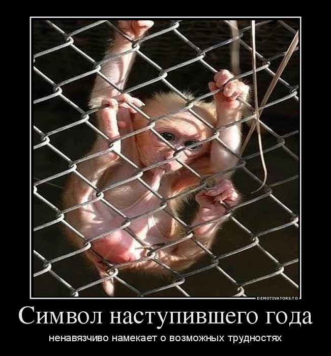 Символ наступившего года