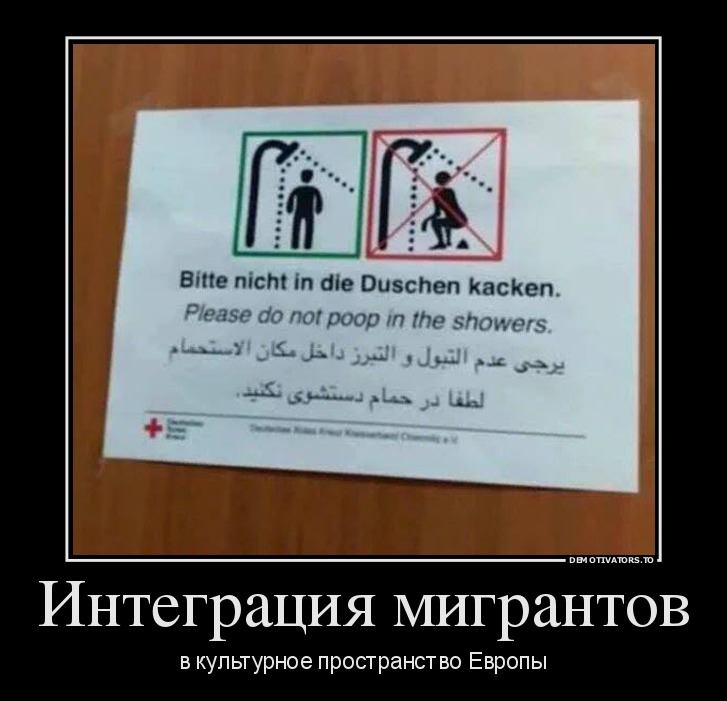 Интеграция мигрантов
