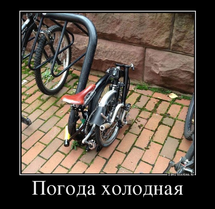 Погода холодная