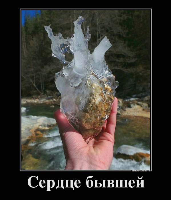 Сердце бывшей