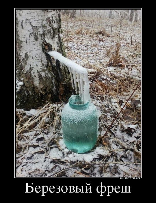 Березовый фреш