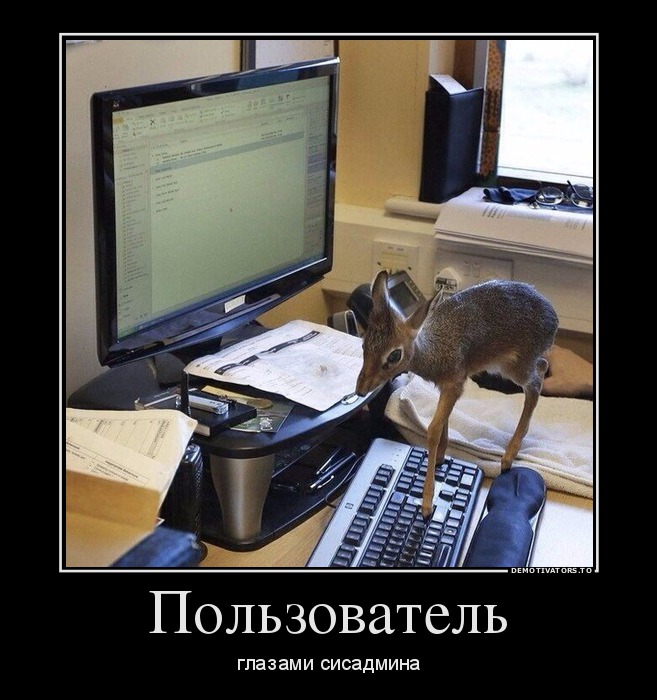 Пользователь