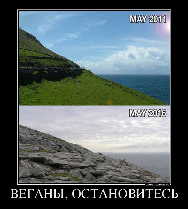 ВЕГАНЫ, ОСТАНОВИТЕСЬ