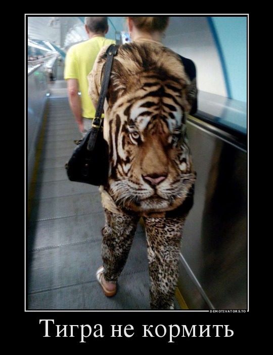 Тигра не кормить
