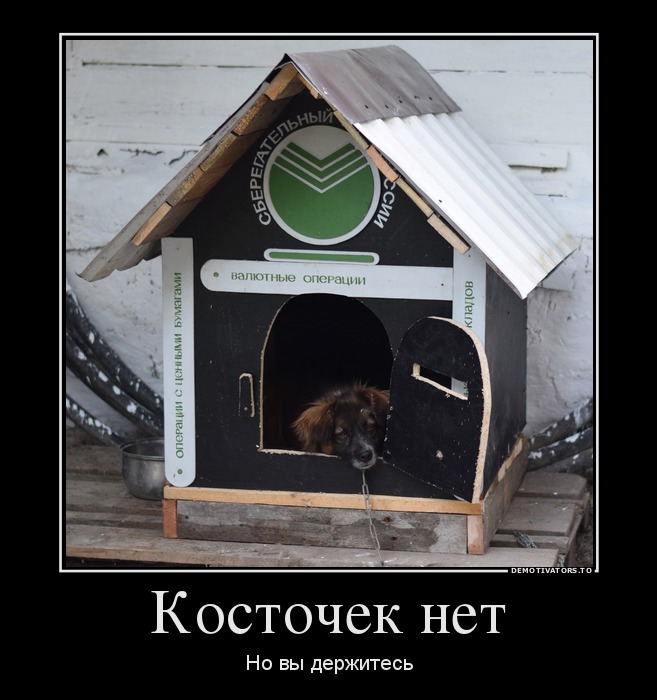 Косточек нет