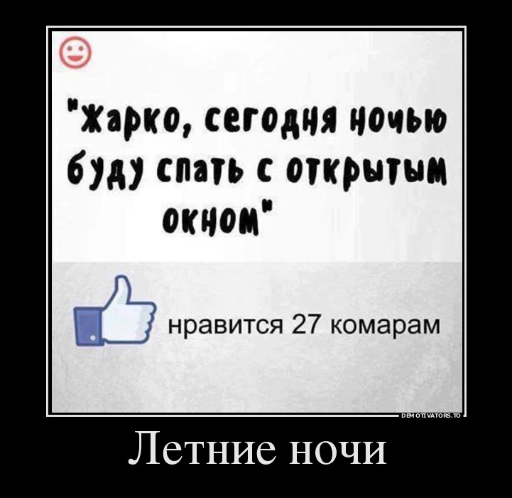 Летние ночи