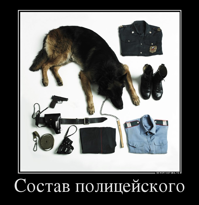 Состав полицейского