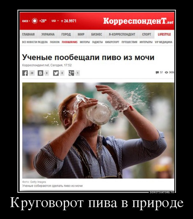 Круговорот пива в природе
