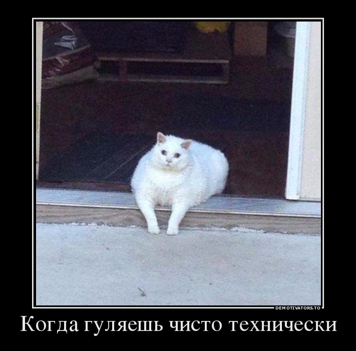 Когда гуляешь чисто технически