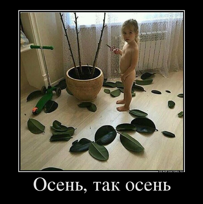 Осень, так осень