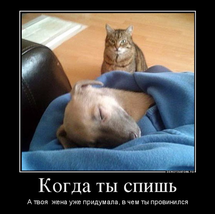 Когда ты спишь