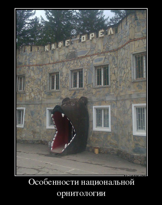 Особенности национальной орнитологии