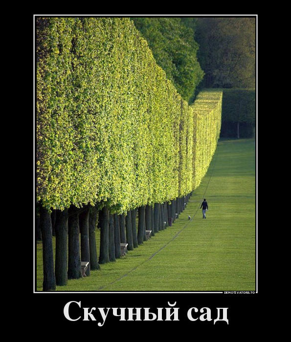 Скучный сад