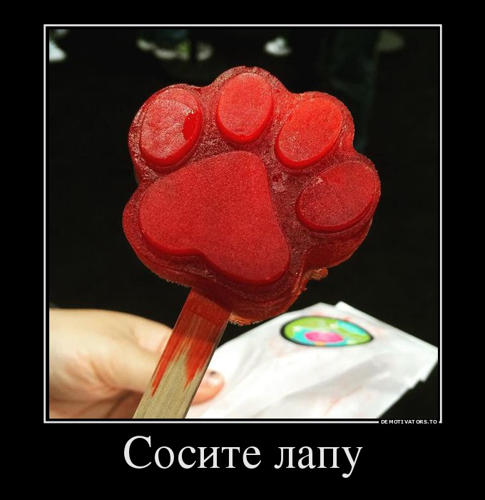 Сосите лапу