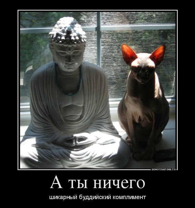 А ты ничего