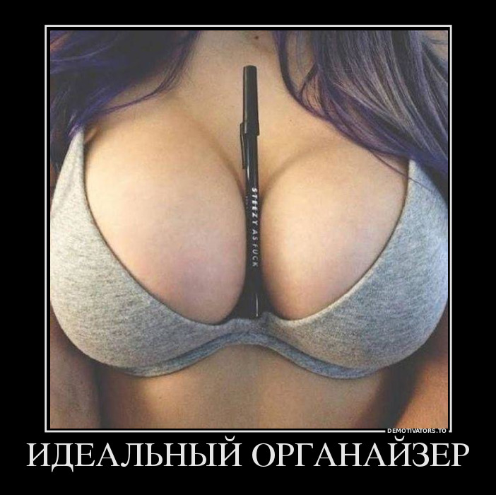 ИДЕАЛЬНЫЙ ОРГАНАЙЗЕР