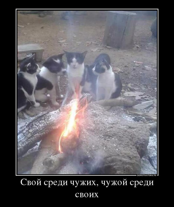 Свой среди чужих, чужой среди своих