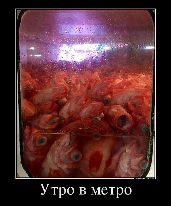 Утро в метро