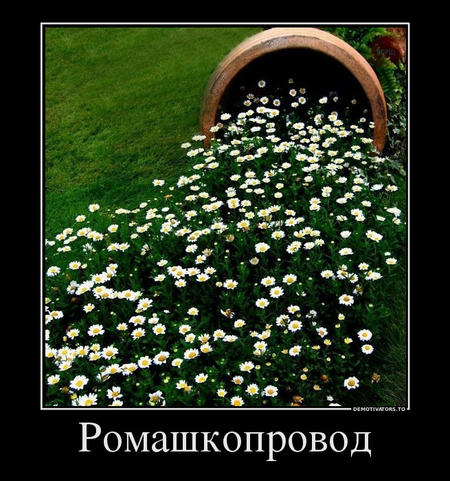 Ромашкопровод