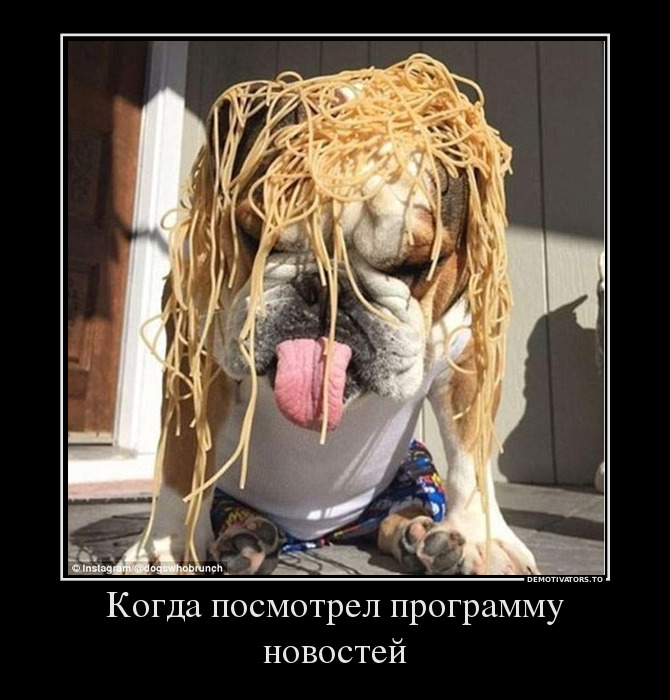 Когда посмотрел программу новостей