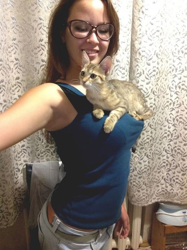 Котику повезло!
