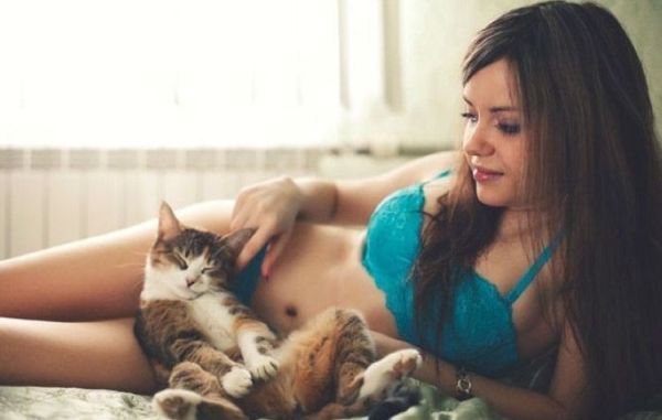 Вся суть интернета – девушки и котики