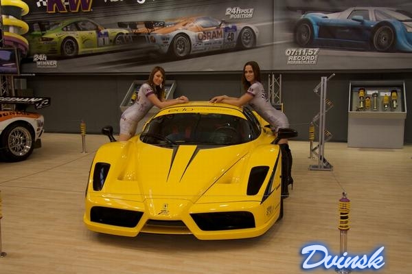 Горячие девушки на фоне дорогих авто