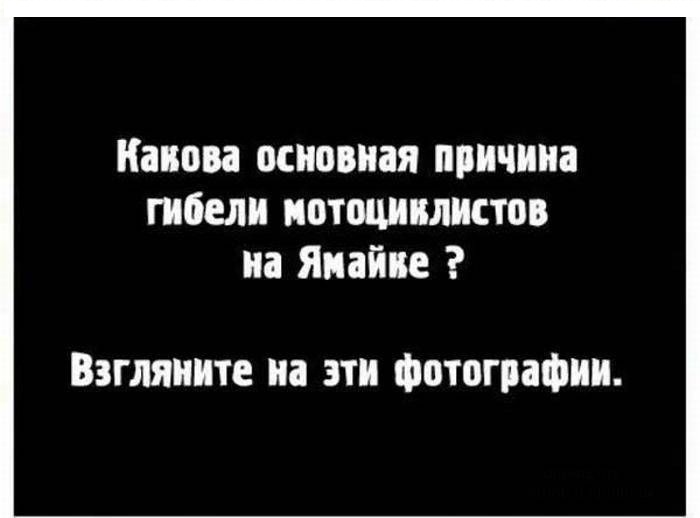 Булки (5 фото)