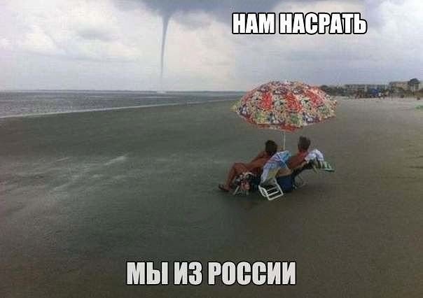 остроумные фото приколы
