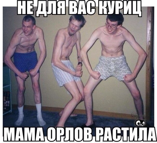подборка новых фото приколов