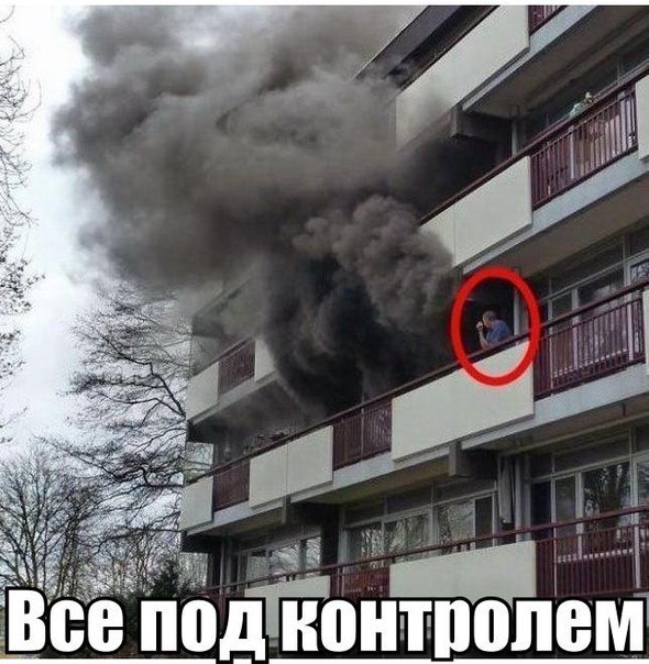 улетные фотографии в приколах