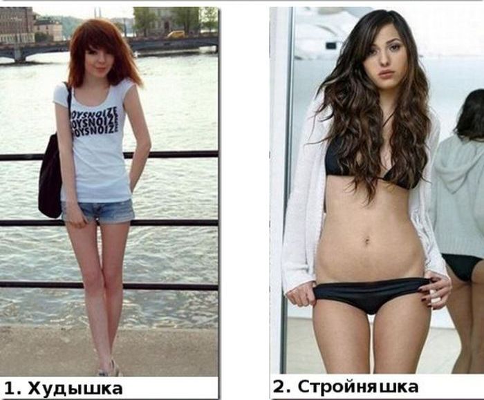 Типы женских фигур